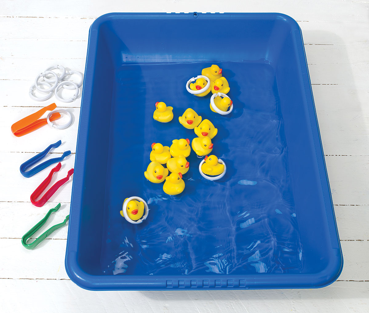 Counting Ducks STEM Activity